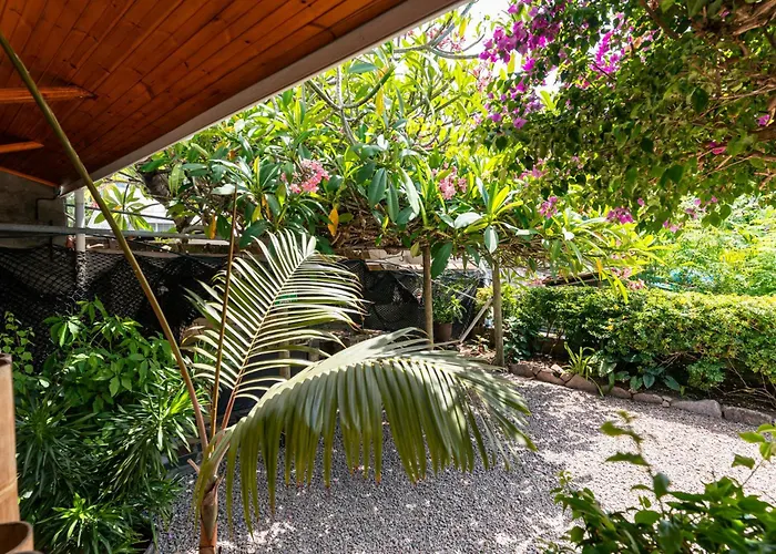 Beau Bamboo Beau Vallon (Mahe)
